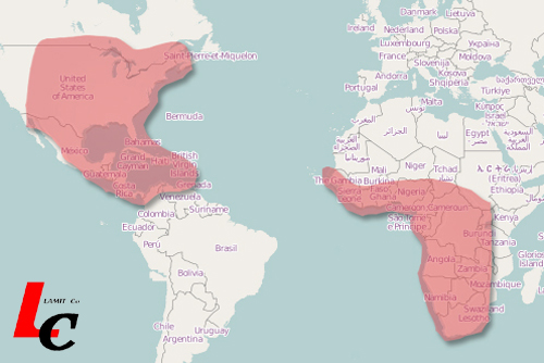 Africa Telstar 11N Satellite Coverage